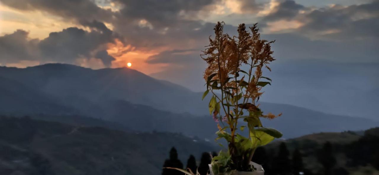 Valley View Homestay Дарджилинг Экстерьер фото