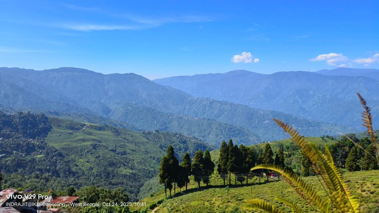 Valley View Homestay Дарджилинг Экстерьер фото